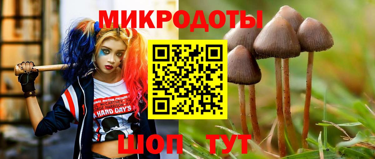 Галлюциногенные грибы Psilocybine cubensis Фурманов