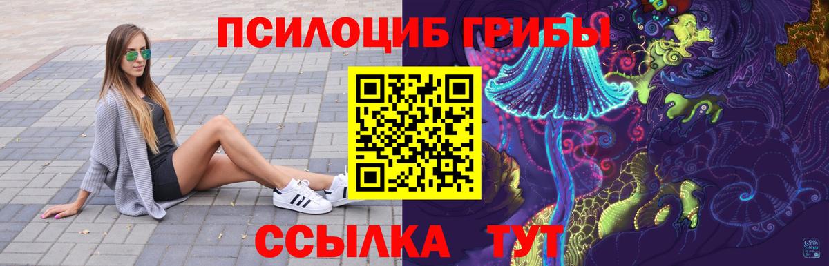 Фурманов  Галлюциногенные грибы MAGIC MUSHROOMS  продажа наркотиков  Псилоцибиновые грибы MAGIC MUSHROOMS  Вход с VPN 
